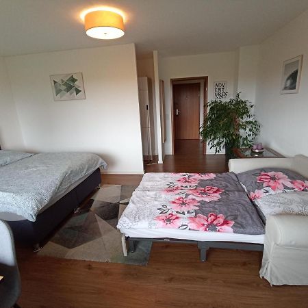 Exklusives Apartment Zw. Lu Und Speyer Mit Aufzug Neuhofen Bagian luar foto